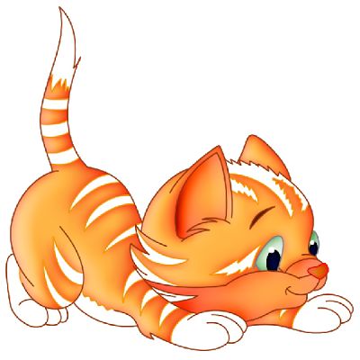 cat.jpg